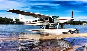 SURVOL EN HYDRAVION – AMAZONIE