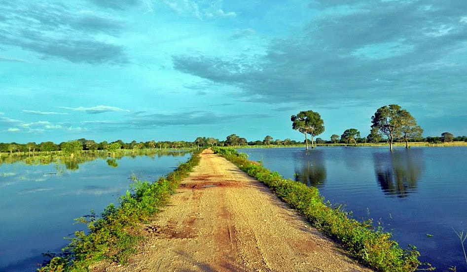 Imagem 01